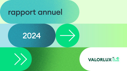 Rapport annuel 2024